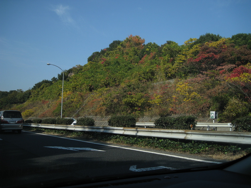 高速を飛ばして和歌山へ