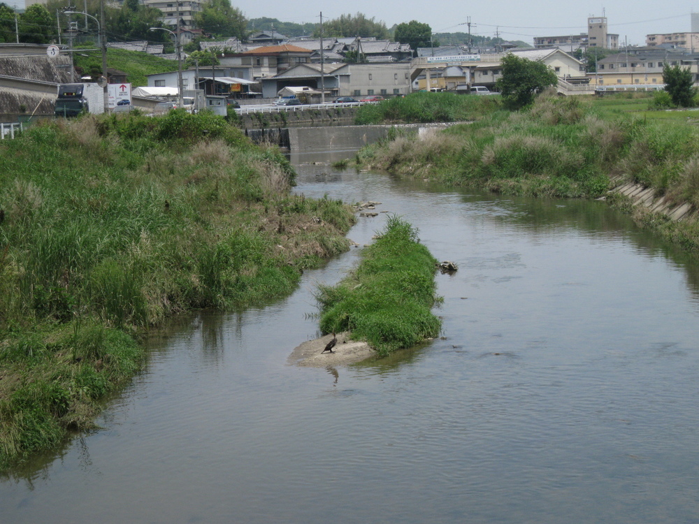 小平尾橋からの竜田川の風景