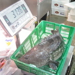 堺の大起水産鮮魚流通センター【街のみなと】へ正月食材の買い出しに！！
