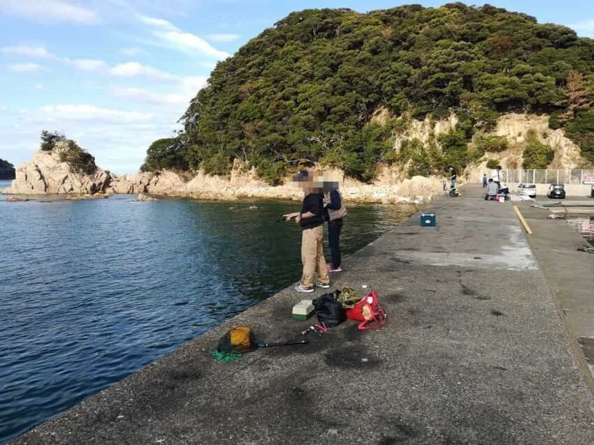 アオリイカが釣れる釣り場