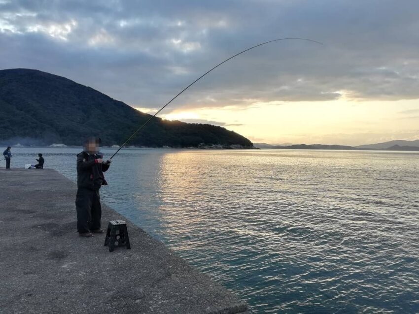 アオリイカが良く釣れる時間帯(タイミング)
