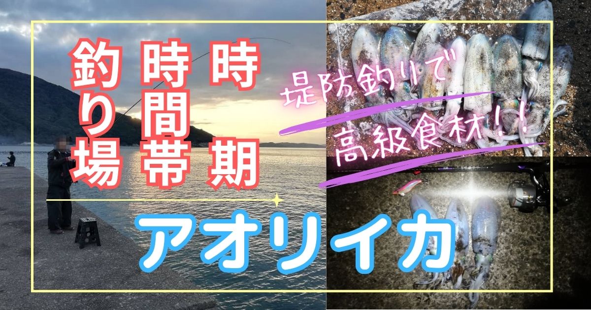 アオリイカの釣れる時期、釣れる時間、釣れる場所