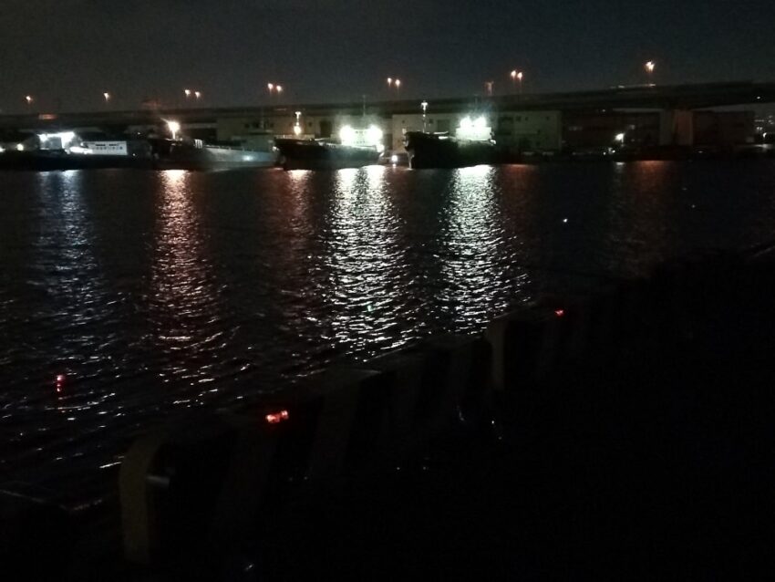 シーズン後半は湾奥の釣り場でも楽しめる