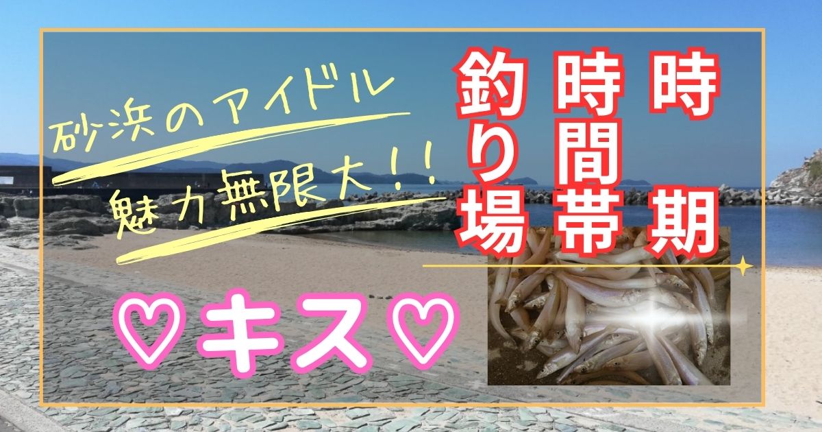 【キス(シロギス)】釣れる時期と時間帯、釣れる場所
