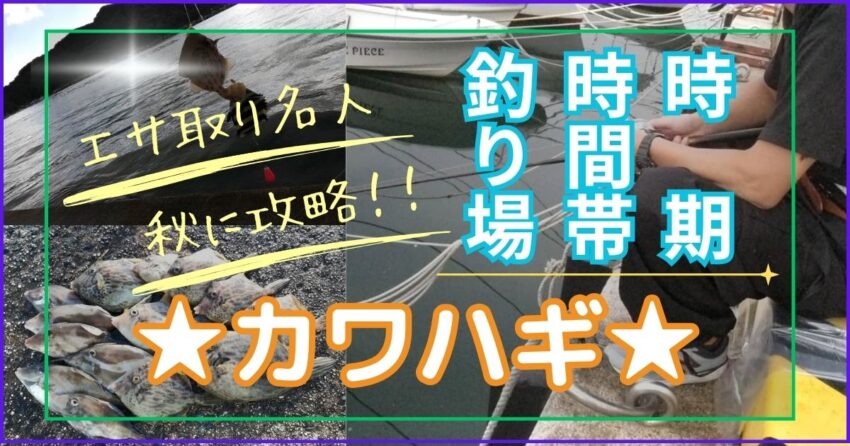 カワハギが釣れる時期(シーズン)、時間帯、釣れる場所