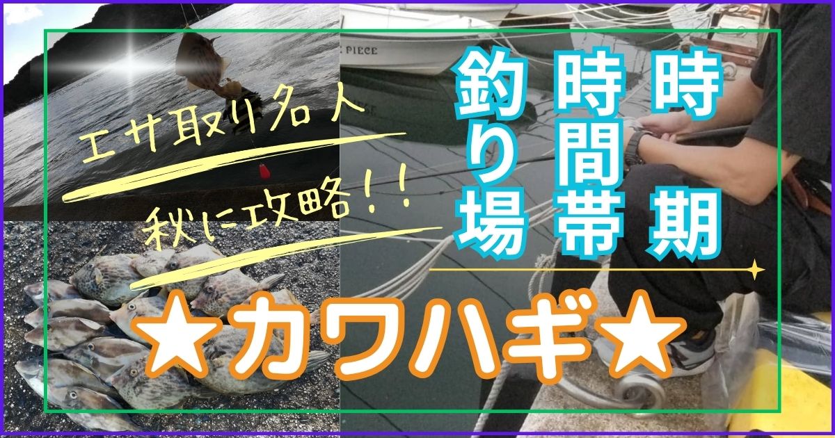 カワハギが釣れる時期（シーズン）、時間帯、釣れる場所