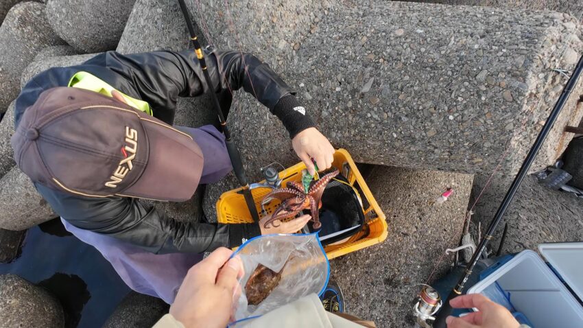 テトラは好ポイントもバラシに注意