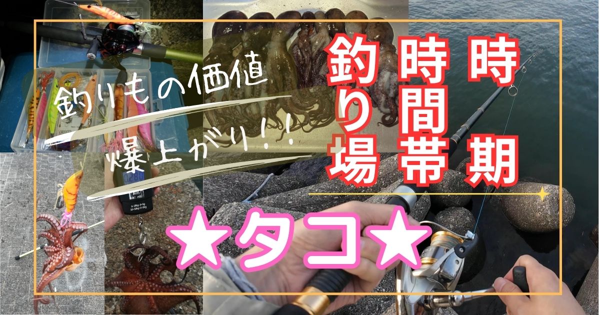 【タコ（マダコ）】釣れる時期と時間帯、釣れる場所