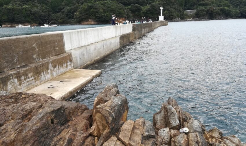 キジハタ(アコウ)が釣れる場所