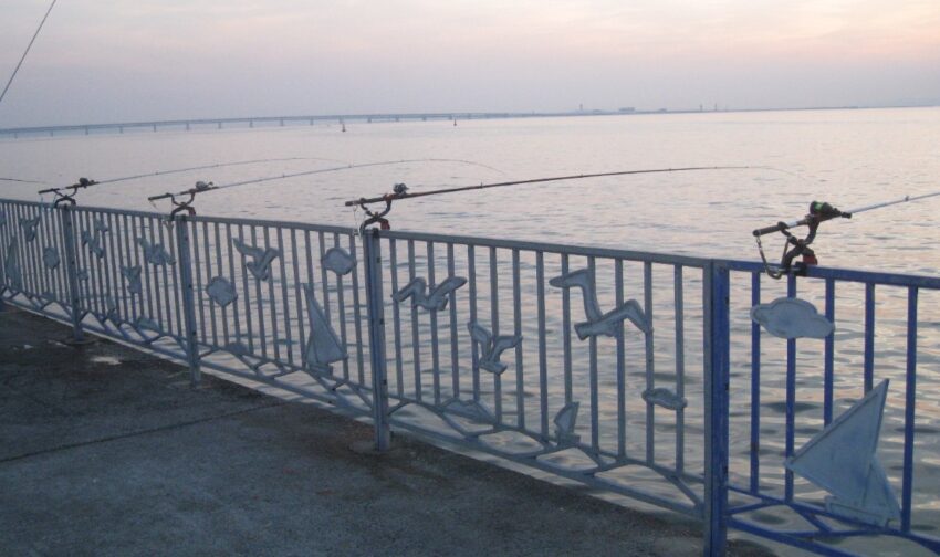 沖向き堤防でアコウのズボ釣り竿を並べる