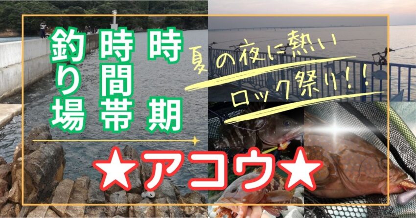 【キジハタ（アコウ）】釣れる時期と時間、釣れる場所