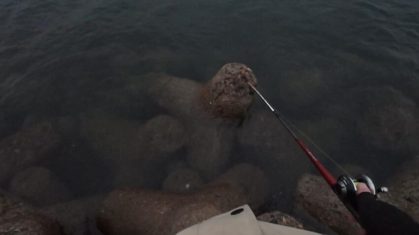 久しぶりの穴釣り