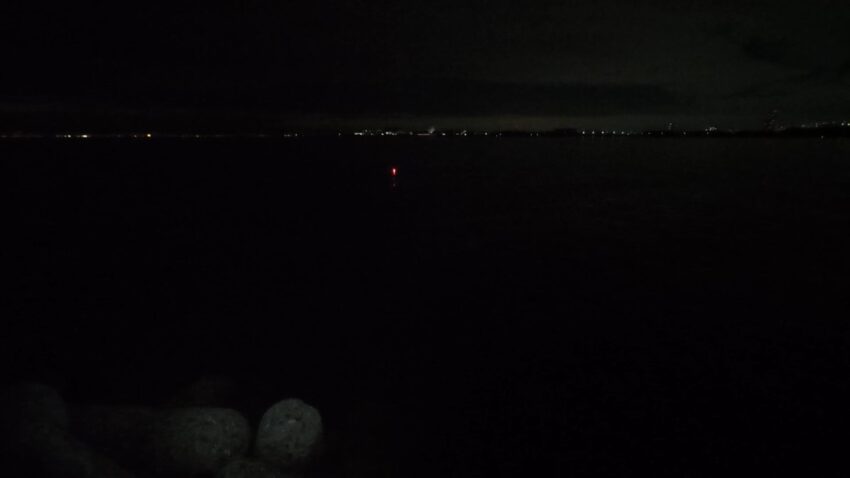 海面にただ漂い続ける電気ウキ