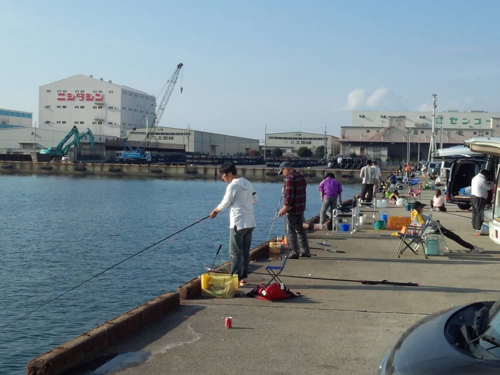 釣り場 によって釣れる魚は違う 海水魚の場合 釣りのネタ帳