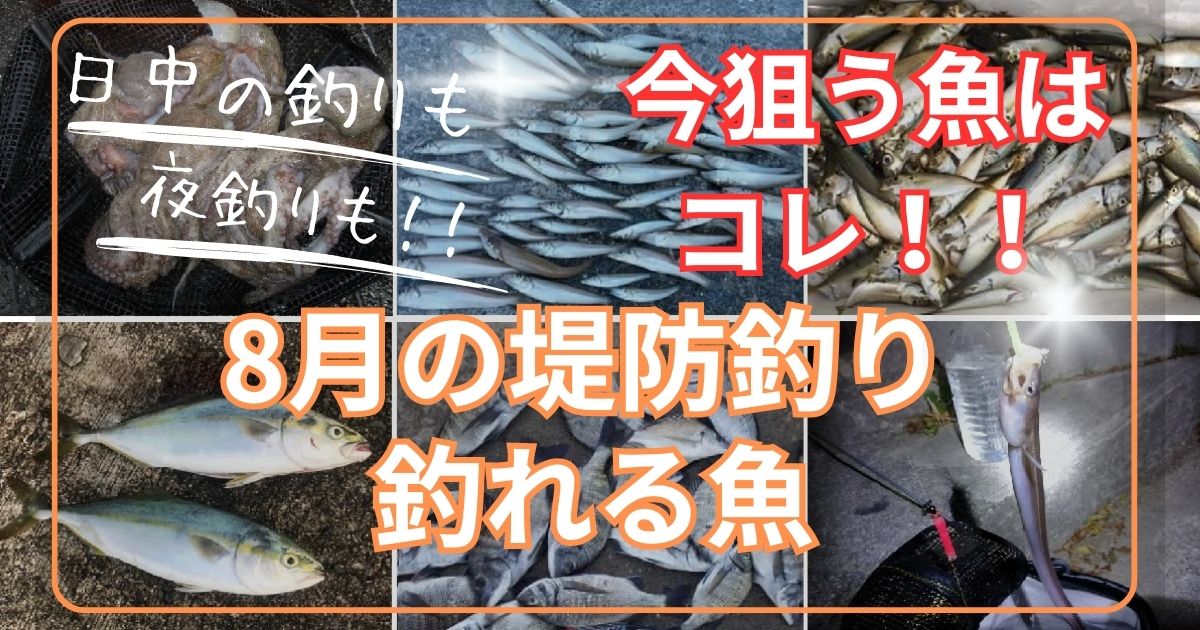 8月の堤防釣りで釣れる魚