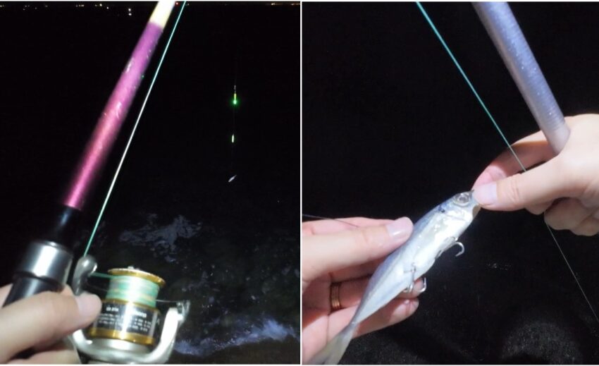 太刀魚のウキ釣り仕掛けとエサのアジ