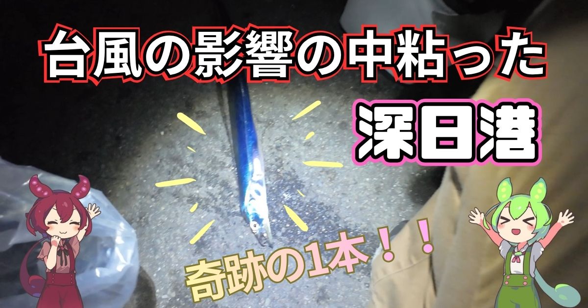 深日港の漁港内で太刀魚釣果