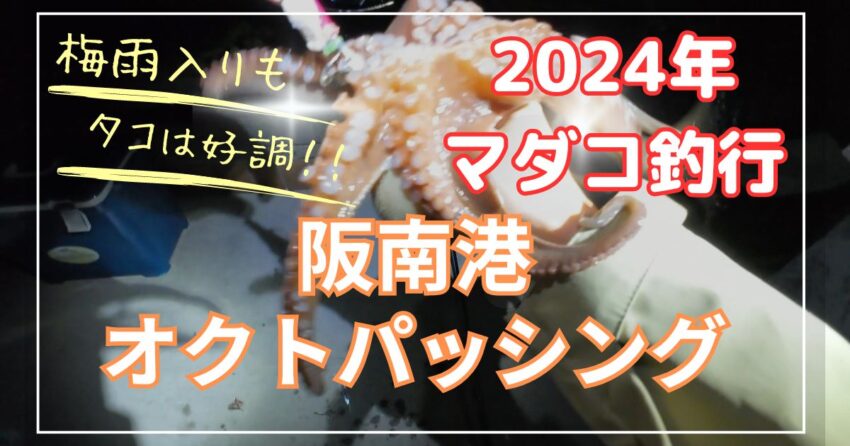 【2024年】阪南港でオクトパッシング釣果