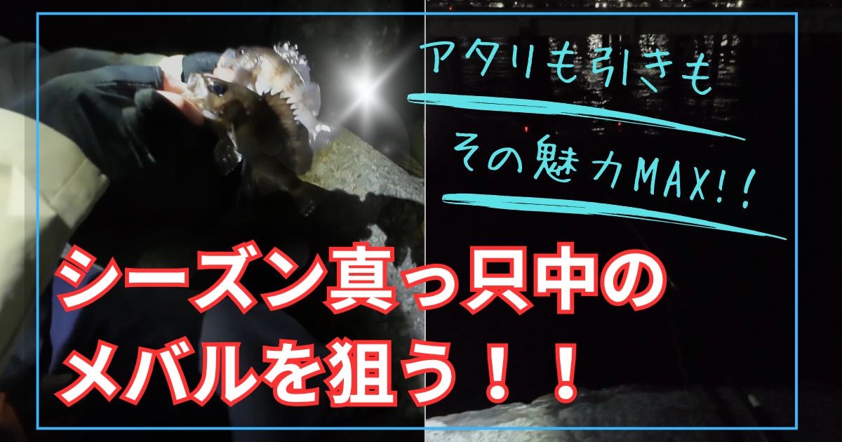 泉佐野食品コンビナートでメバルのエビ撒き釣り