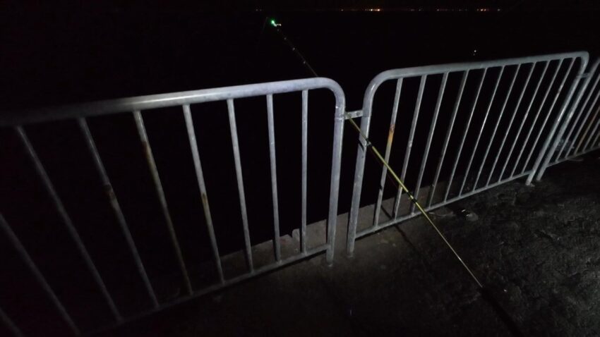 今日の釣り場【貝塚人工島プール（ベランダ）】