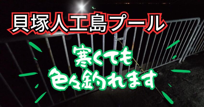 貝塚人工島プールでサビキ釣りと際釣りの釣果
