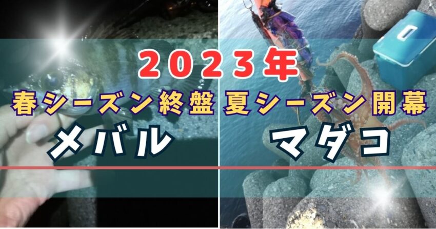 【2023年大阪湾】貝塚人工島でのメバリングのメバル釣果と忠岡でのオクトパッシングのタコ釣果