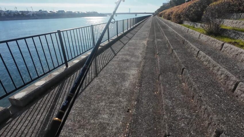 本日の釣り場【貝塚人工島水路】