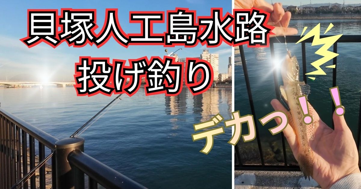 貝塚人工島水路で投げ釣り釣果