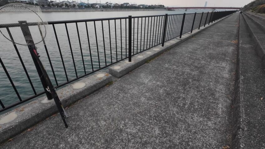 今日の釣り場【貝塚人工島水路】