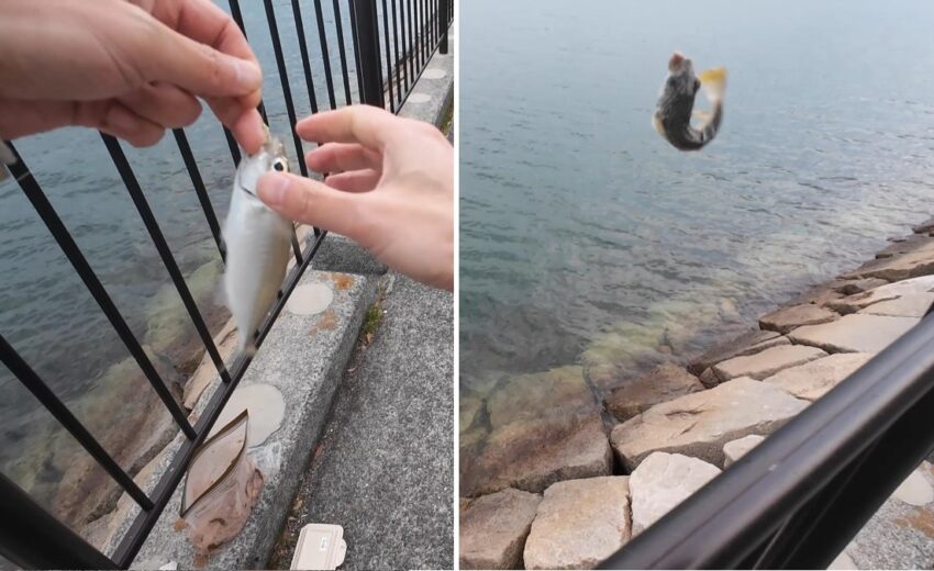 1投目でアジとフグがヒット