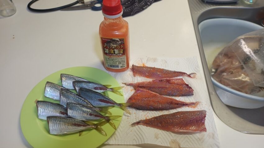 本日の貝塚人工島水路での釣果