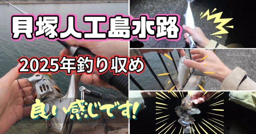 貝塚人工島の水路でアジの投げサビキ釣り