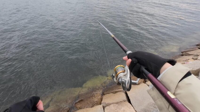 アジ狙いの投げサビキ釣り開始
