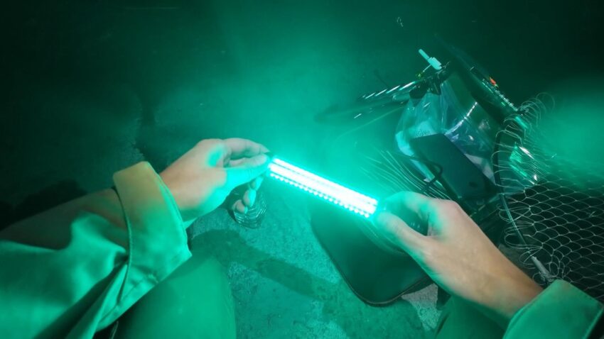 秘密兵器【集魚ライト】