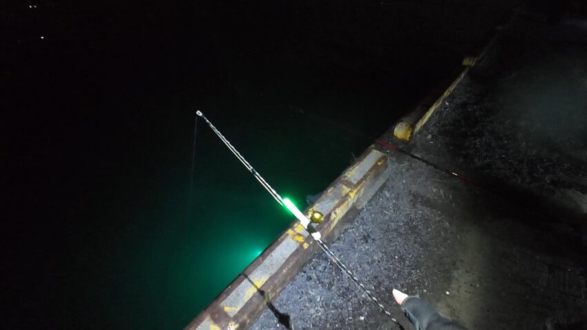 ぶっこみ釣り開始