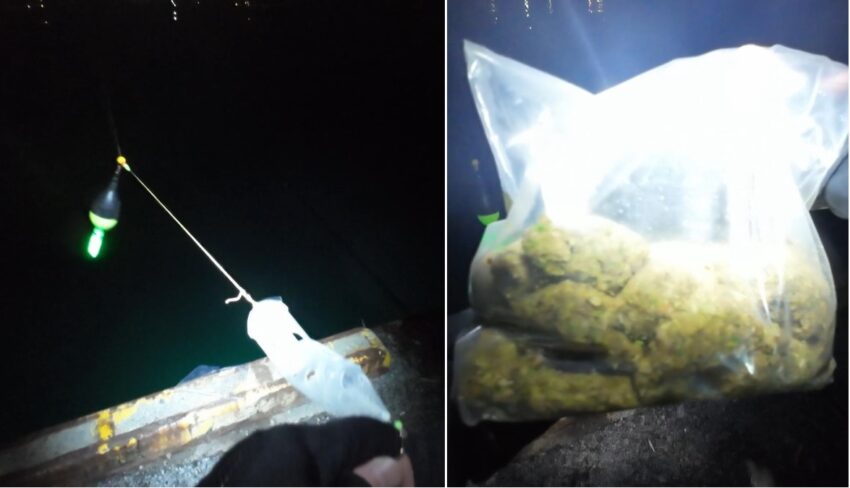 上カゴの電気ウキサビキ