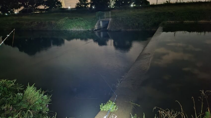 本日の釣り場は樫井川の河川敷