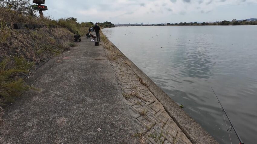 本日の釣り場【紀の川のせせらぎ公園】