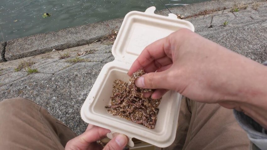 ハゼ釣りのエサ【石ゴカイ】