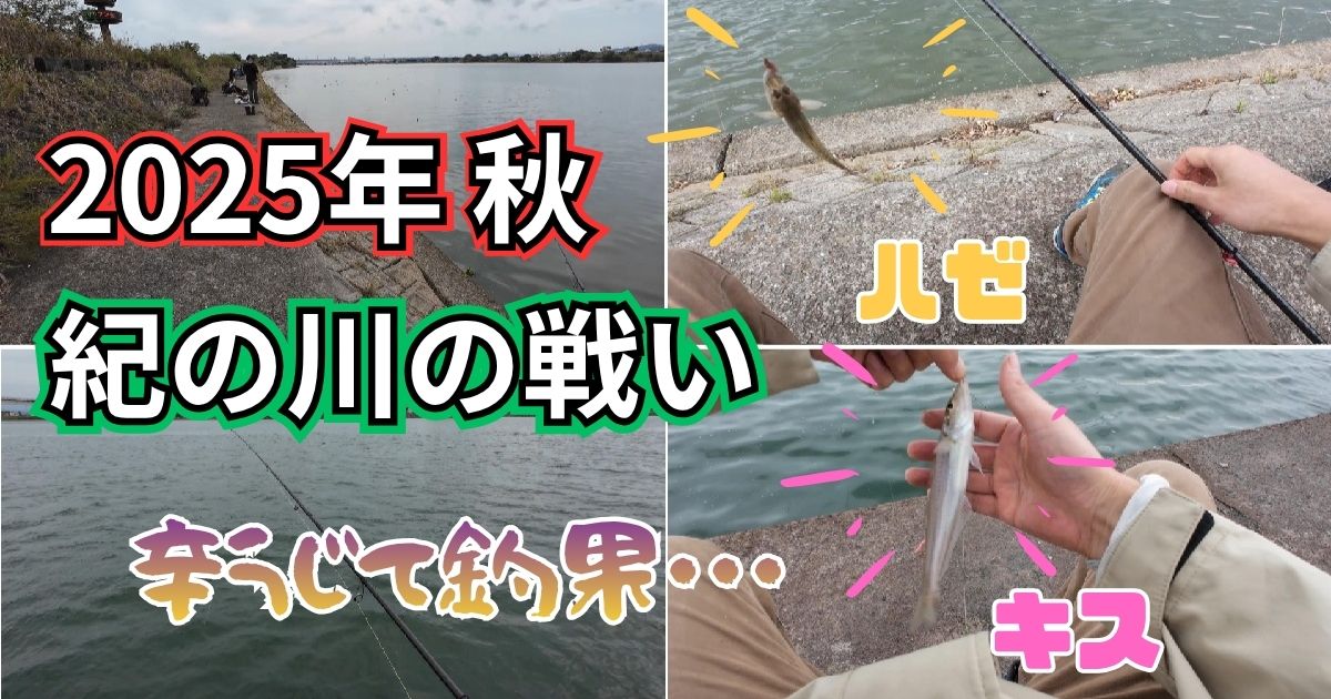 紀の川河口（せせらぎ公園）でハゼとキスのちょい投げ釣り