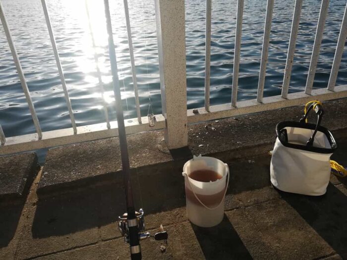 サビキ釣りでエサのアジを狙う