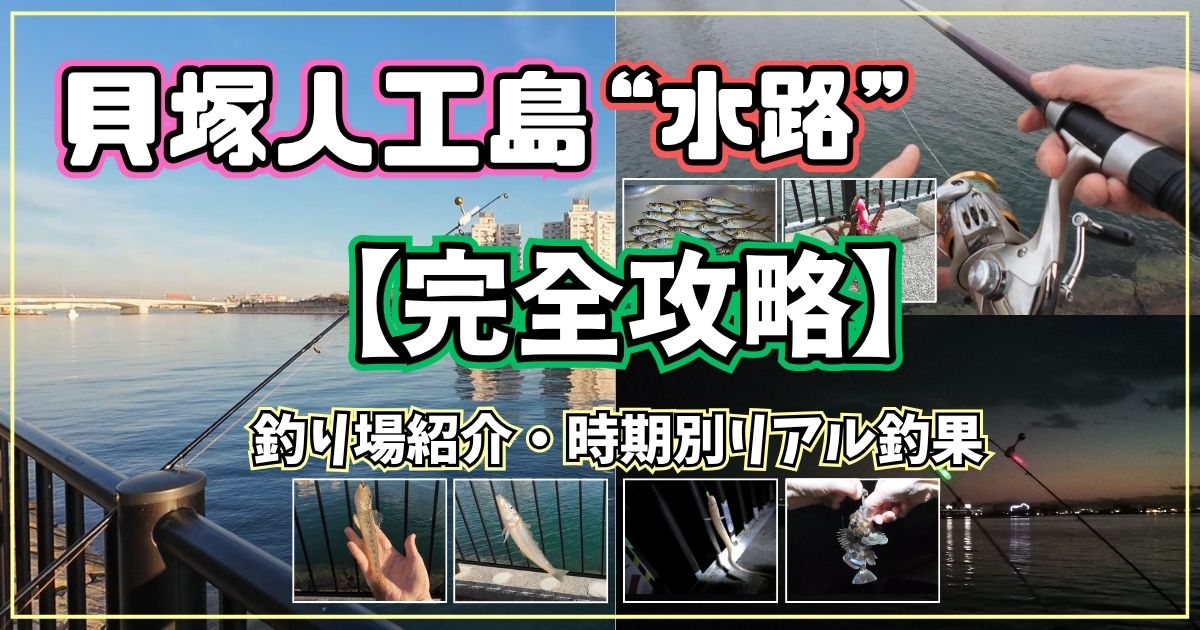 【貝塚人工島水路の釣り】釣果と釣り場紹介