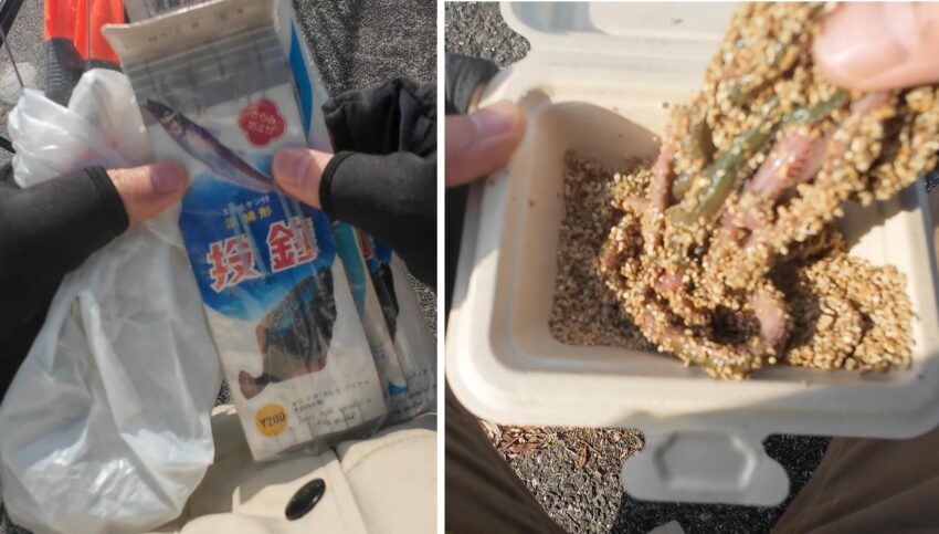 投げ釣り仕掛けとエサの青イソメ