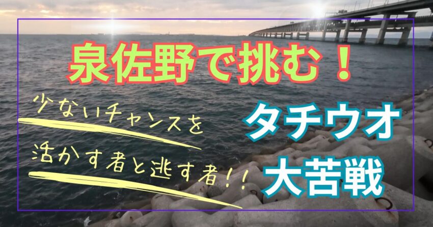 泉佐野のりんくう公園テトラで太刀魚の電気ウキ釣り釣果