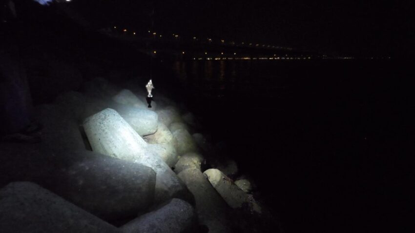 25cm近いサイズが連発