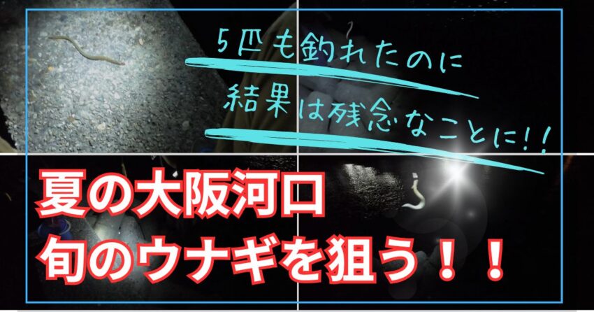 夏の大阪の河川の河口でウナギ釣り