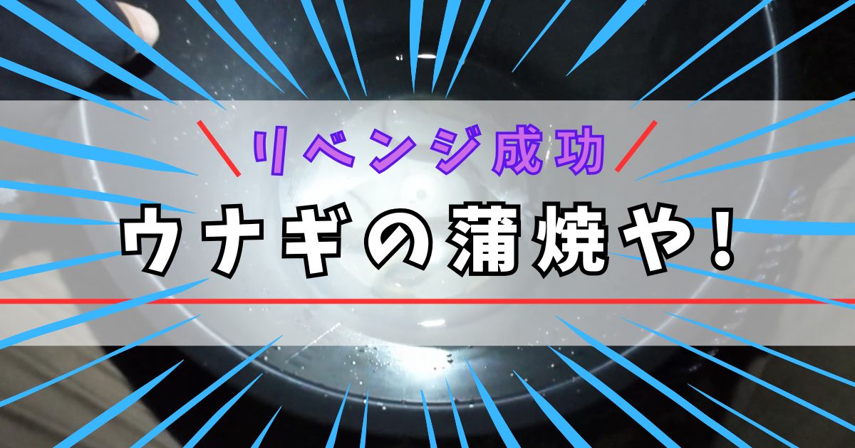 大阪河川の河口でウナギ釣り釣果（リベンジ成功）