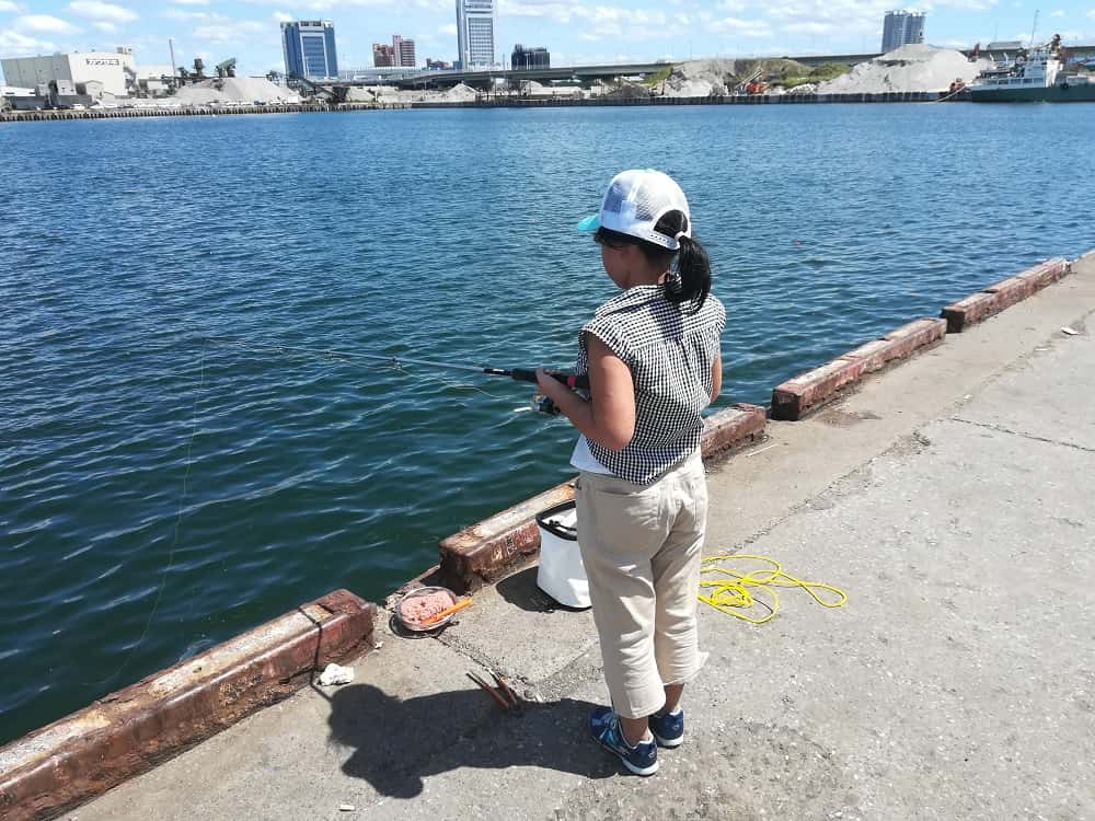 泉大津の汐見埠頭砂上げ場でサヨリのウキ釣り 釣りのネタ帳 泉大津の汐見埠頭砂上げ場でサヨリのウキ釣り 釣りのネタ帳