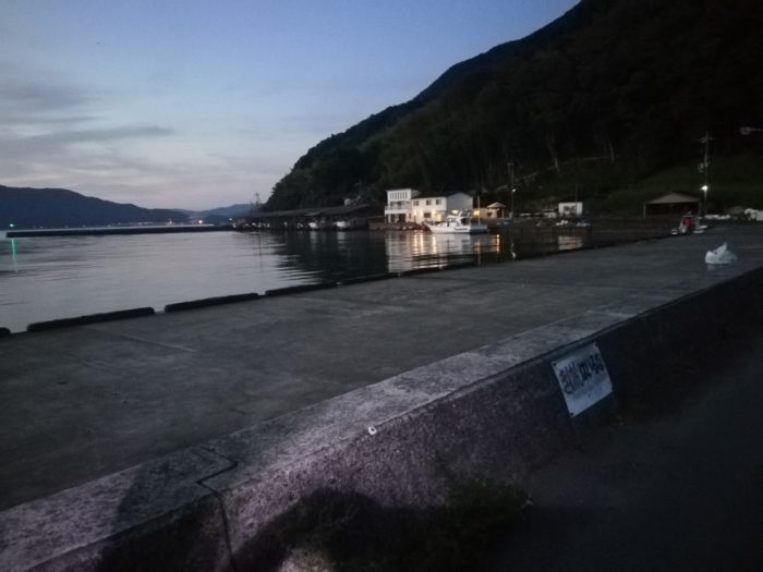 漁港港内の釣り場はかなり広い