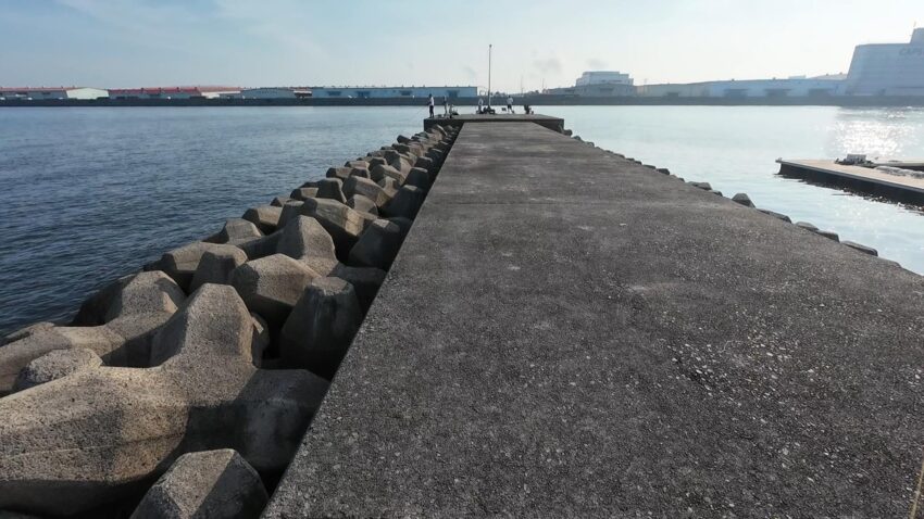 大津川河口にある忠岡マリーナ水銀灯釣り場